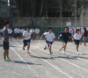 スポーツカーニバル